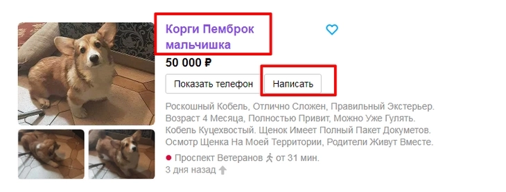 Продвижение на Авито