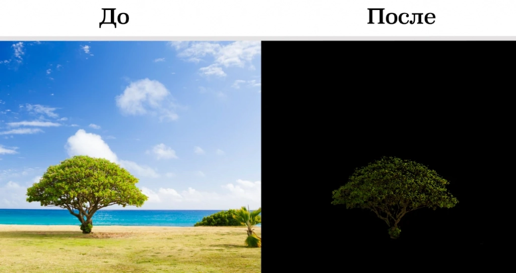 Фотография до удаления фона в Photoshop и после Результат удаления фона в Фотошопе