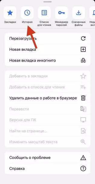 Как посмотреть историю запросов в браузере Google Chrome на телефонах iOS