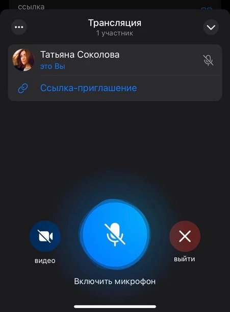 Прямая трансляция в Telegram: видео и звук