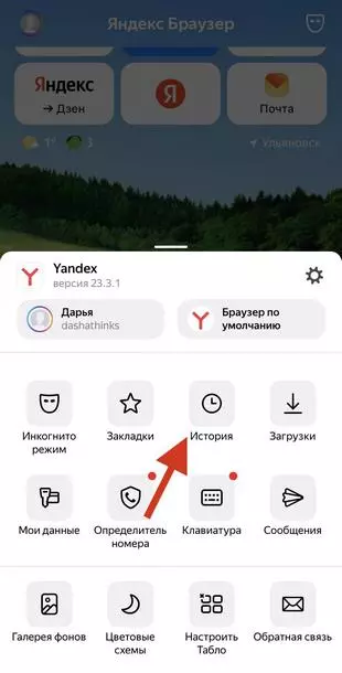 Как посмотреть историю запросов в в Яндекс.Браузере на телефонах iOS