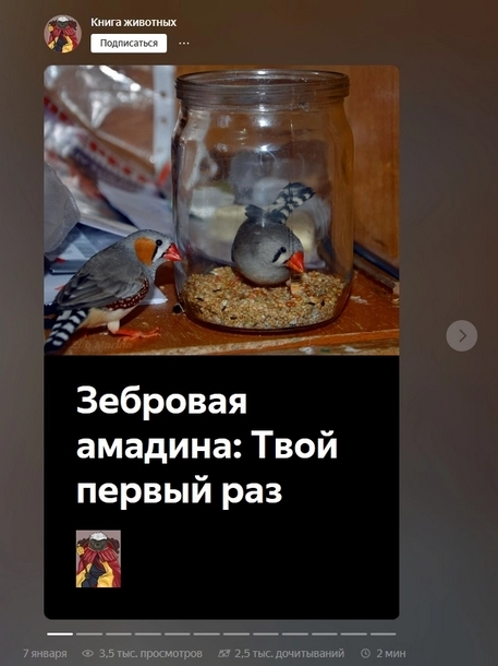 Правильно оформленный нарратив Правильно оформленный нарратив