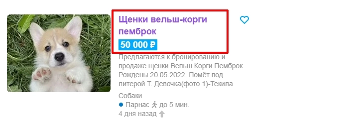 Продвижение на Авито