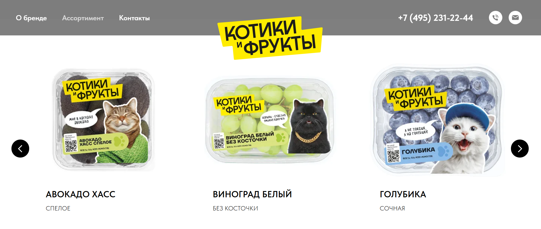 Упаковки от бренда «Котики и фрукты» Упаковка бренда «Котики и фрукты» с изображением котов на коробках с ягодами и фруктами