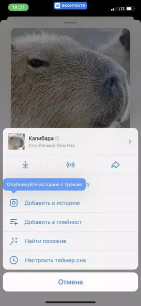 Трек можно использовать в Историях Трек «Капибара»