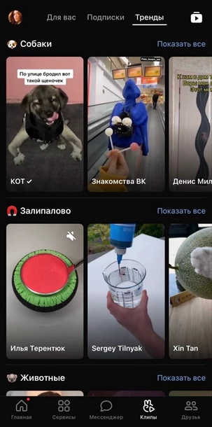 «Клипы» «ВКонтакте»: тренды
