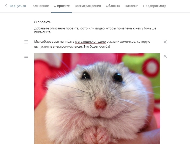 Строки текста, фото и видео добавляются отдельными блоками Строки текста, фото и видео добавляются отдельными блоками