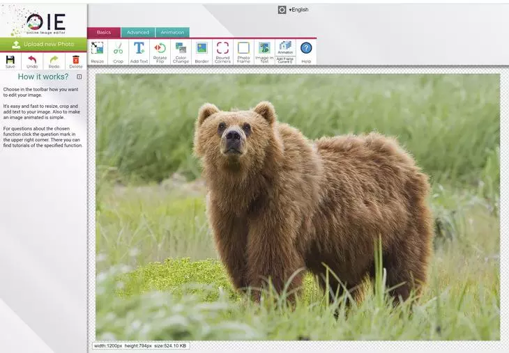 Интерфейс Online Image Editor