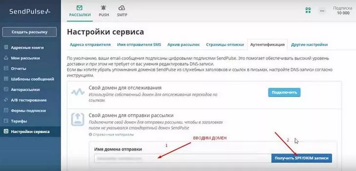 Указываем домен и получаем SPF и DKIM