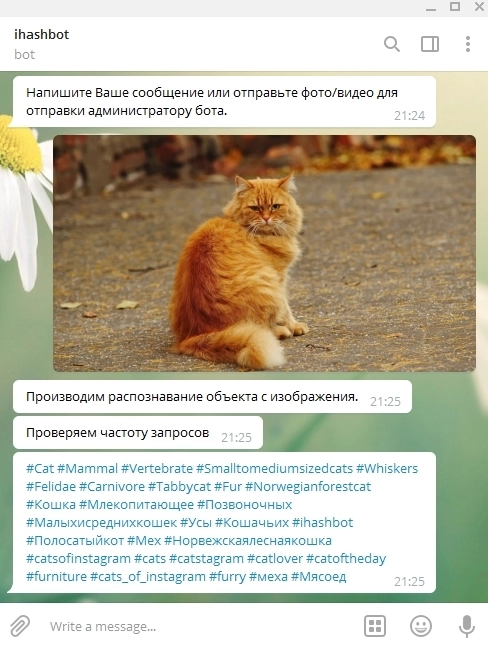 Результат не безупречный, конечно, и некоторые хештеги я бы удалила из списка, но в целом бот верно распознал изображение и выбрал правильный вектор для создания тегов Результат не безупречный, конечно, и некоторые хештеги я бы удалила из списка, но в целом бот верно распознал изображение и выбрал правильный вектор для создания тегов