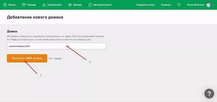 Вводим домен и нажимаем «Показать DNS запись