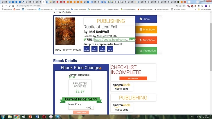 Как выглядит публикация на Драфте Публикация Draft2digital