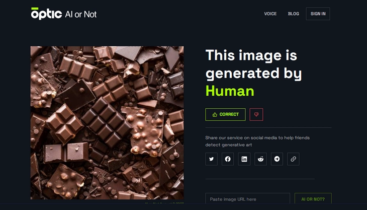 Все верно, наше изображение — это реальная фотография AI or Not