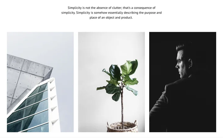 Визуальный контент на Tilda-сайте. Источник: tilda.cc