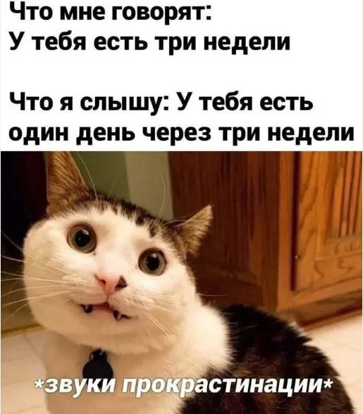 Дедлайны Дедлайны