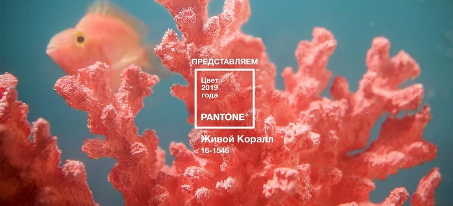 Pantone написал о том, где можно с успехом использовать этот «жизнеутверждающий цвет» Pantone написал о том, где можно с успехом использовать этот «жизнеутверждающий цвет»