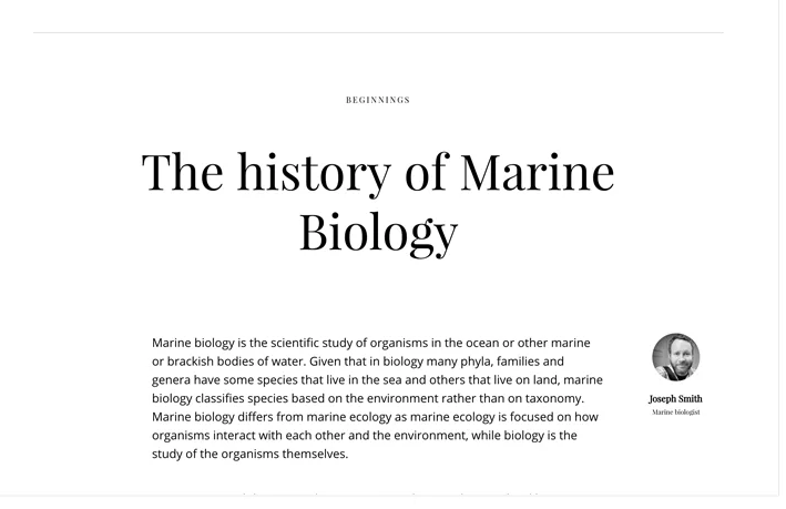 Разные шрифты поддерживаются уже из коробки. Источник: tilda.cc