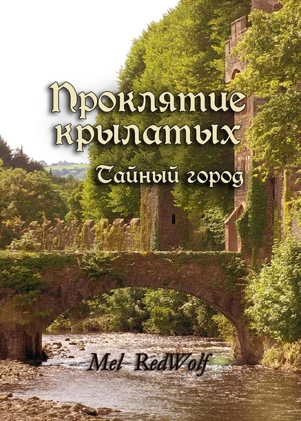 Эту обложку я сделал сам в «Фотошопе» примерно за 6 часов Обложка книги