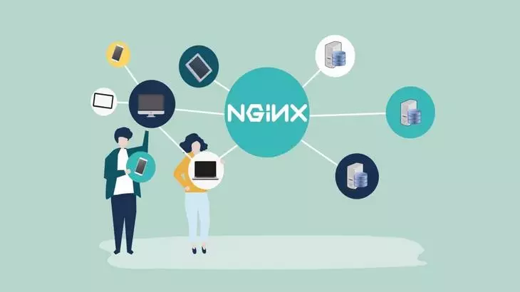 Интерфейс бесплатного веб-сервиса Nginx Интерфейс Nginx
