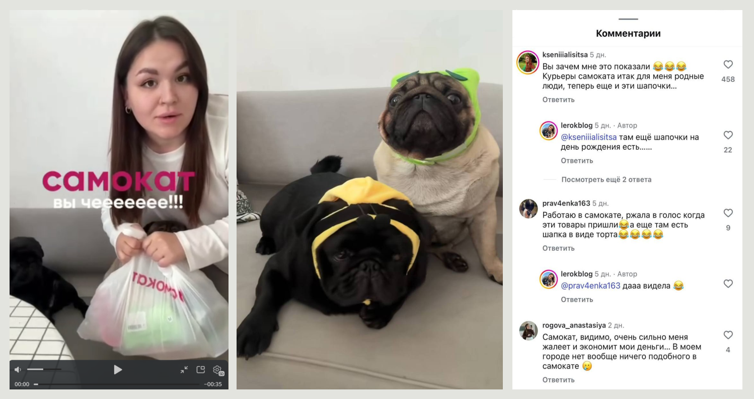 UGC-контент про шапочки для собак от «Самоката» Шапочки для собак от «Самоката» и примеры пользовательского контента в соцсетях