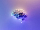 Что такое работа мечты – 3 формулы и 12 вопросов для проверки