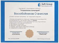 Soft Group "Управление командой" Станислав В.