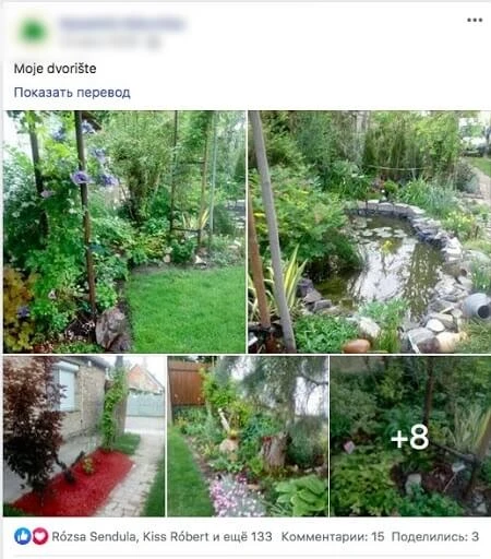 Мой двор Мой двор