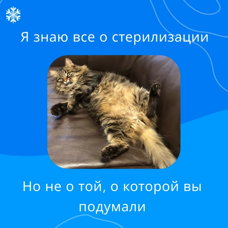 Рекламный макет для продвижения медицинского аккаунта Рекламный макет для продвижения медицинского аккаунта
