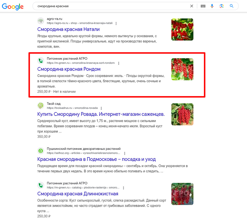 Стандартный результат поиска Google содержит адрес сайта, заголовок страницы и ее описание Стандартный сниппет, который не относится к спецэлементам SERP