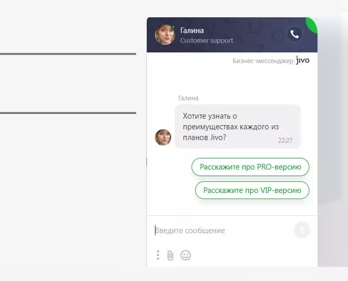 Так выглядит виджет, который создает JivoSite JivoSite