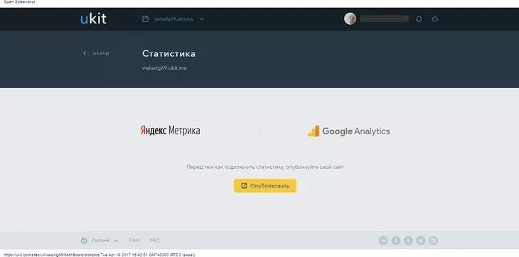 Подключение сервисов аналитики в панели управления uKit Подключение сервисов аналитики в панели управления uKit