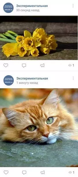 Сравнение двух форматов изображения в ленте ВК Сравнение двух форматов изображения в ленте ВК
