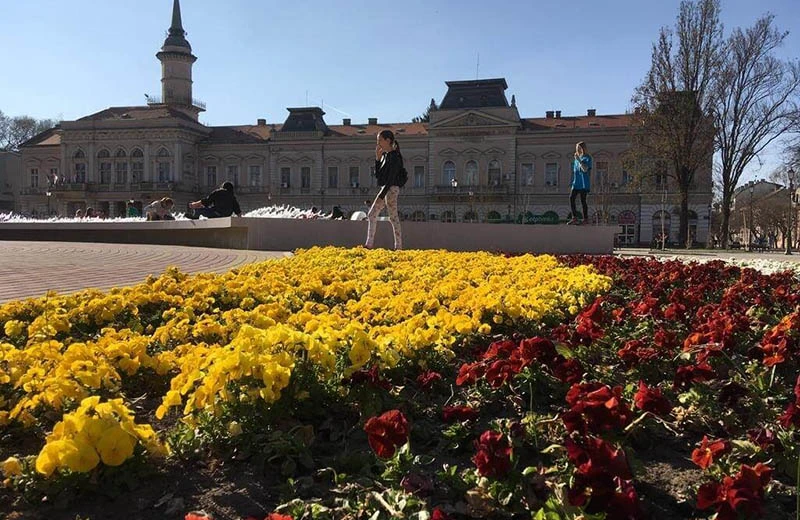 ... и, так сказать, от лица пешехода Сербия